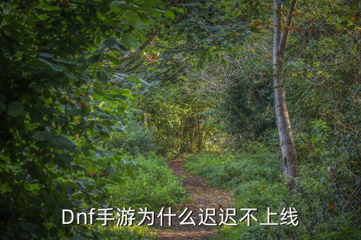 dnf手游怎么没有消息，Dnf手游为什么迟迟不上线