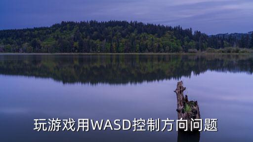 玩游戏用WASD控制方向问题