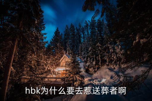 hbk为什么要去惹送葬者啊