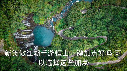 新笑傲江湖手游恒山一键加点好吗 可以选择这些加点