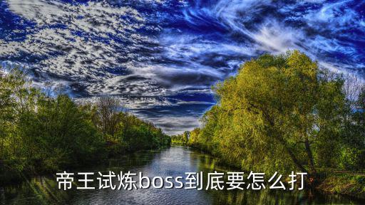 帝王试炼boss到底要怎么打