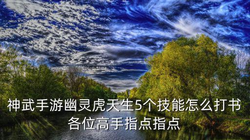 神武手游幽灵虎天生5个技能怎么打书各位高手指点指点