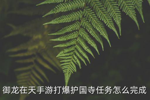 御龙在天手游打爆护国寺任务怎么完成