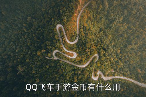 QQ飞车手游金币有什么用