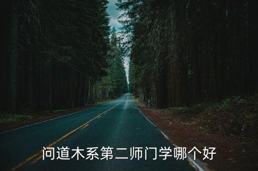 问道木系第二师门学哪个好