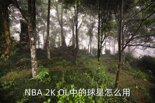 NBA 2K OL中的球星怎么用