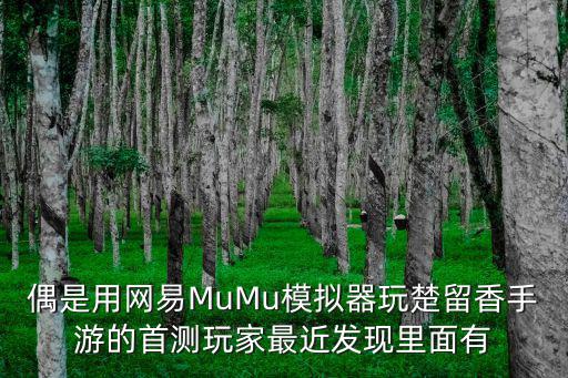 偶是用网易MuMu模拟器玩楚留香手游的首测玩家最近发现里面有