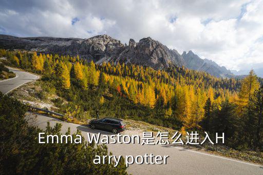 Emma Waston是怎么进入Harry potter