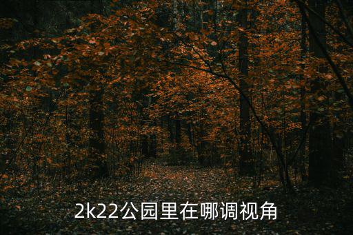 2k22公园里在哪调视角