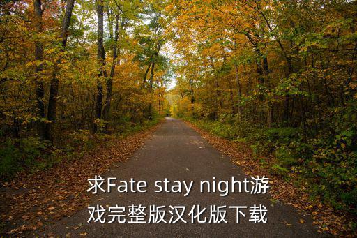 求Fate stay night游戏完整版汉化版下载