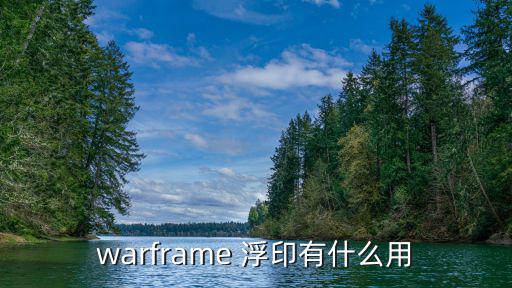 warframe 浮印有什么用