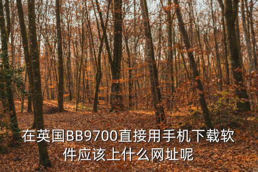 在英国BB9700直接用手机下载软件应该上什么网址呢