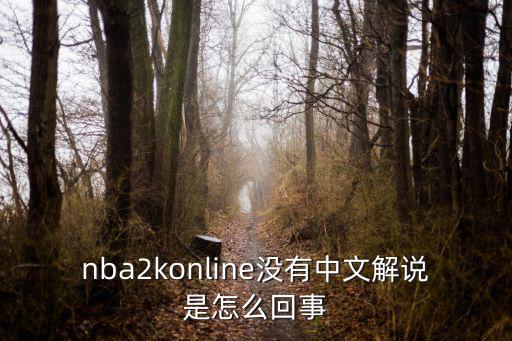 nba2konline没有中文解说是怎么回事