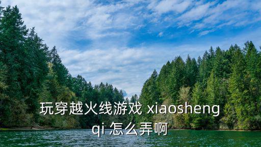 玩穿越火线游戏 xiaoshengqi 怎么弄啊