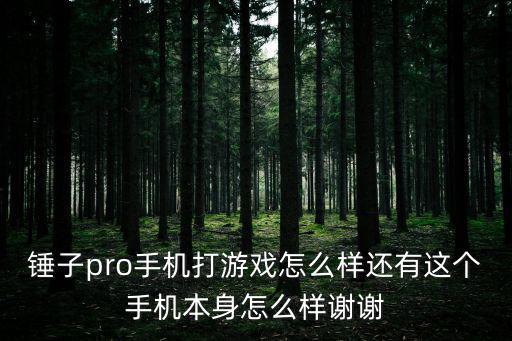 锤子pro手机打游戏怎么样还有这个手机本身怎么样谢谢