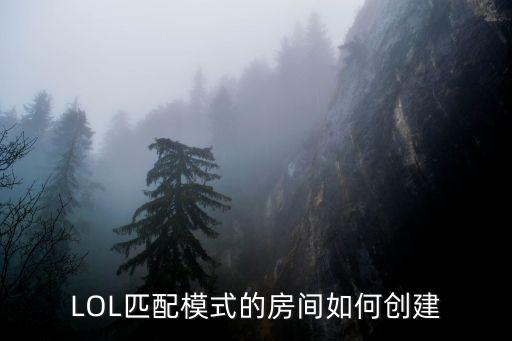 手游台服lol怎么创建房间，英雄联盟手游可以面对面建房间吗