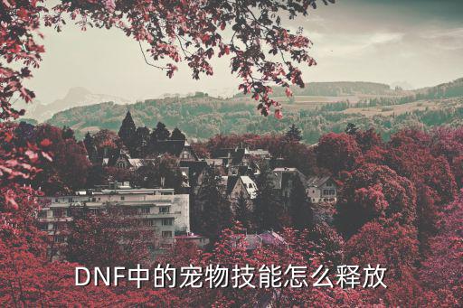 dnf手游宠物技能怎么放，dnf宠物技能怎么放