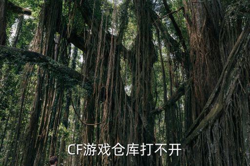 CF游戏仓库打不开