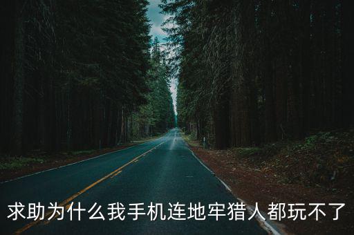 求助为什么我手机连地牢猎人都玩不了