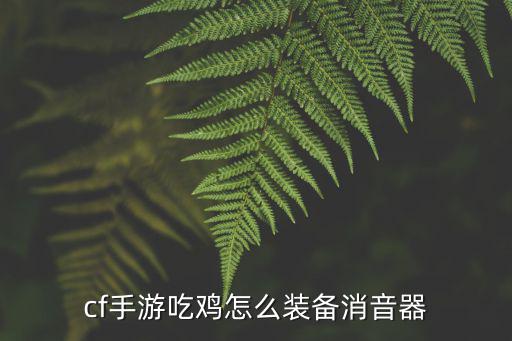 cf手游吃鸡怎么装备消音器