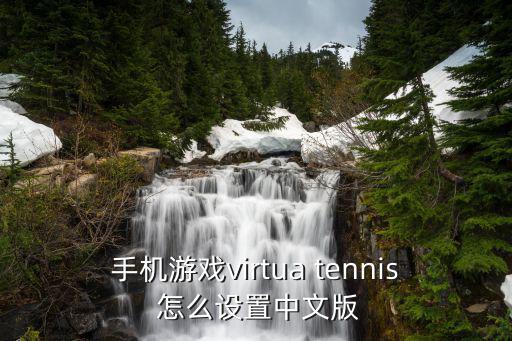 手机游戏virtua tennis 怎么设置中文版