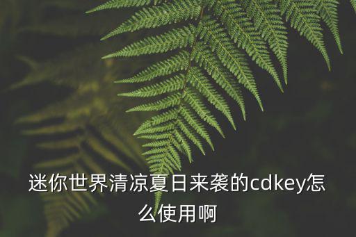 迷你世界清凉夏日来袭的cdkey怎么使用啊