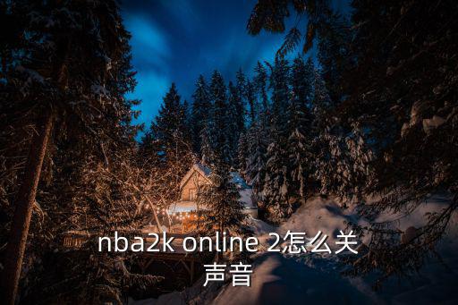 nba2k online 2怎么关声音