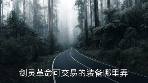 剑灵革命手游装备是怎么搞的，剑灵革命可交易的装备哪里弄