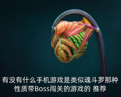 有没有什么手机游戏是类似魂斗罗那种性质带Boss闯关的游戏的 推荐