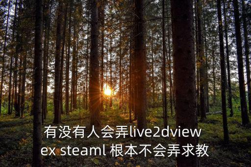 少女前线手游live2d怎么弄，有没有人会弄live2dview ex steaml 根本不会弄求教