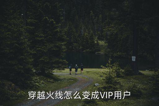 cf手游没充钱怎么变成会员，手游CF没充钱怎么成了VlP