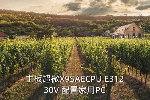 我的世界手游快照版怎么使用魔种，主板超微X9SAECPU E31230V 配置家用PC