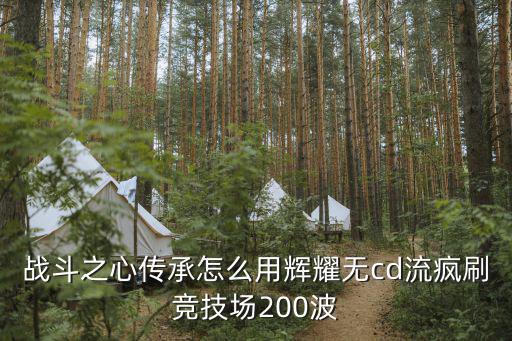 战斗之心传承怎么用辉耀无cd流疯刷竞技场200波