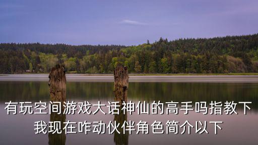 有玩空间游戏大话神仙的高手吗指教下我现在咋动伙伴角色简介以下