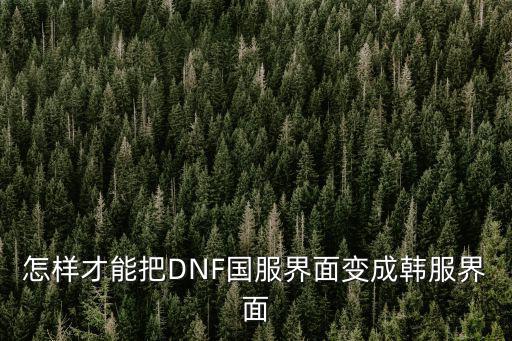 怎样才能把DNF国服界面变成韩服界面