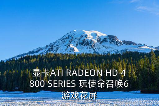 显卡ATI RADEON HD 4800 SERIES 玩使命召唤6游戏花屏