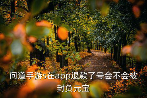 问道手游s在app退款了号会不会被封负元宝