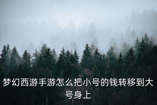 手游宝宝怎么转移到大号，梦幻西游手游怎么把小号的钱转移到大号身上