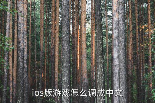 ios版游戏怎么调成中文