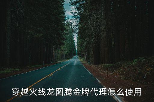 穿越火线龙图腾金牌代理怎么使用