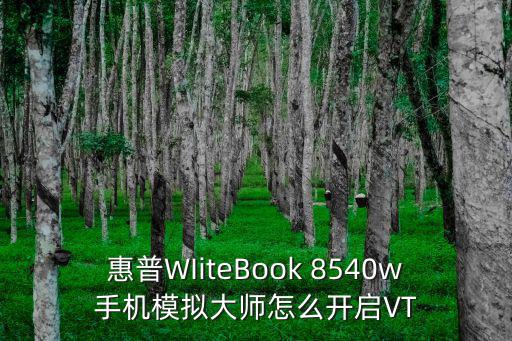 惠普WIiteBook 8540w手机模拟大师怎么开启VT