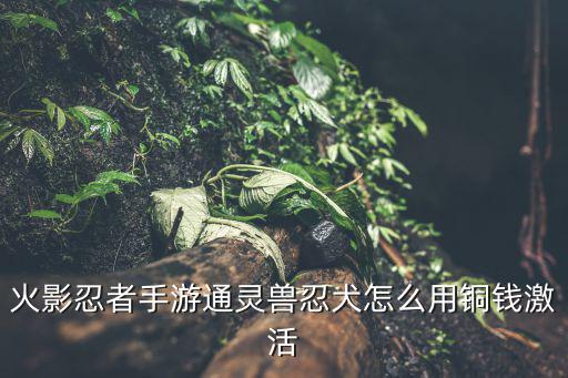 火影忍者手游通灵兽忍犬怎么用铜钱激活