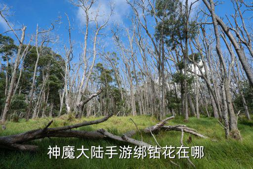 神魔大陆手游绑钻花在哪