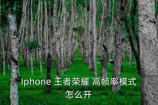 Iphone 王者荣耀 高帧率模式怎么开