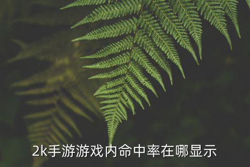 2k手游游戏内命中率在哪显示