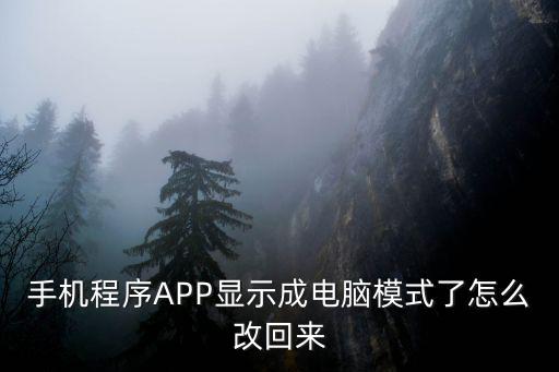 手机程序APP显示成电脑模式了怎么改回来