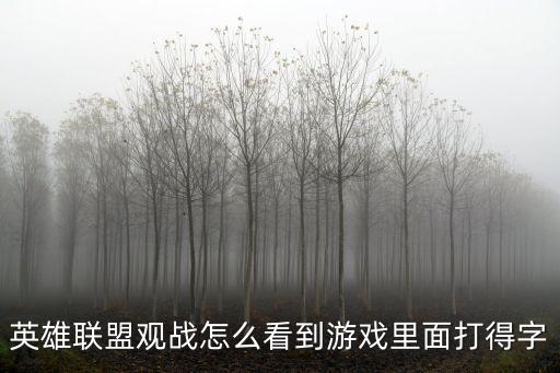 英雄联盟观战怎么看到游戏里面打得字