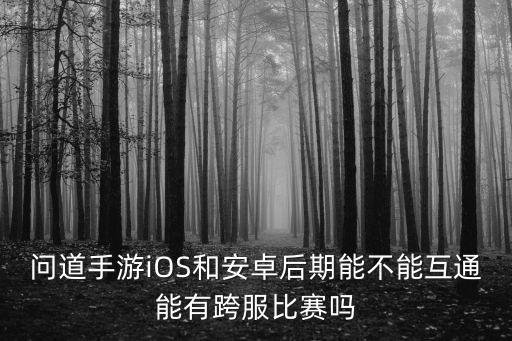 问道手游iOS和安卓后期能不能互通能有跨服比赛吗