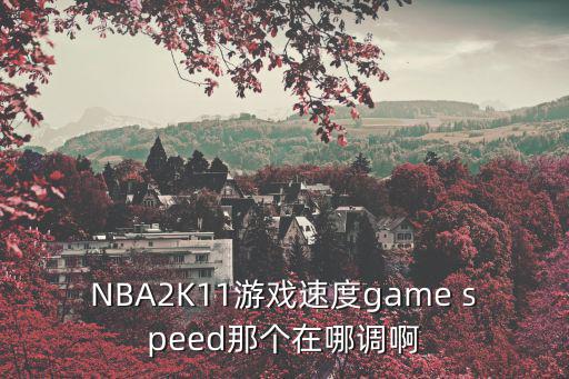 NBA2K11游戏速度game speed那个在哪调啊