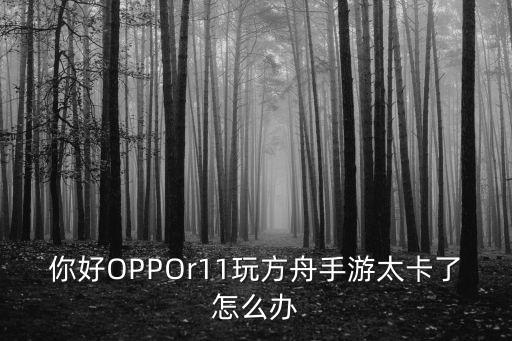 你好OPPOr11玩方舟手游太卡了怎么办